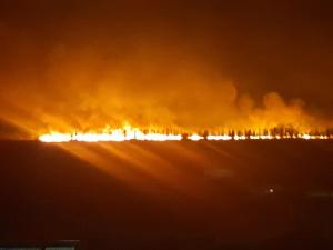 Arde Delta Dunării. Imagini terifiante de la Sulina, oraşul care e înconjurat de flăcări (video)