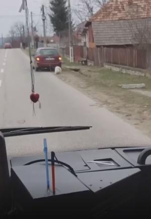 Un câine legat de maşină e târât pe şosea, într-o comună din Argeş (video)
