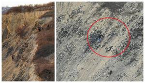 Două fete din Tulcea şi căţelul lor au căzut 100 de metri, în cariera de piatră Bididia