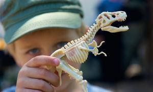 De ce sunt copiii fascinaţi de dinozauri. Este semn bun!