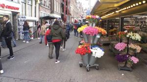 Exclusiv: ”Wall Street-ul florilor”, bursa din Olanda unde florile se vând în 5 secunde