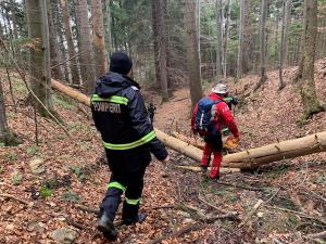 Primele imagini cu mama şi copilul găsiţi în pădurea din Braşov rătăcind de 24 de ore