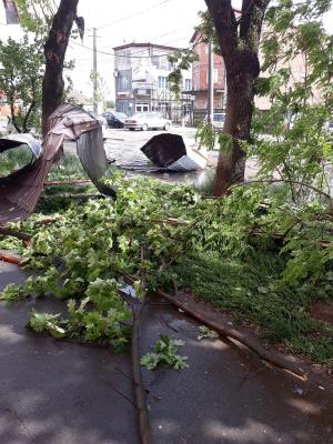 Furtună puternică la Timișoara, în Sâmbăta Mare. Vijelia a provocat pagube însemnate
