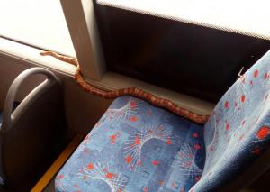 Un pasager şi-a uitat şarpele de aproape 2 metri într-un autobuz plin cu pasageri