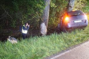 Tânăr şofer român mort în Germania, maşina sa, făcută praf într-un pom