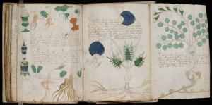 Faimosul manuscris Voynich a fost descifrat, după 600 de ani
