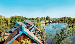 O insulă din Delta Dunării este scoasă la licitaţie pentru 350.000 €