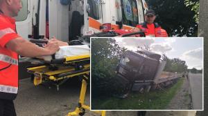 Un şofer de camion înţepat de o albină, la volan, era să-şi omoare copilul de 10 ani, care călătorea cu el, în Botoşani