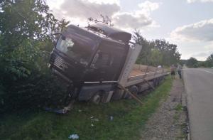 Un şofer de camion înţepat de o albină, la volan, era să-şi omoare copilul de 10 ani, care călătorea cu el, în Botoşani