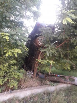 Dornic de senzaţii tari, un şofer de 20 de ani s-a urcat cu BMW-ul în copac