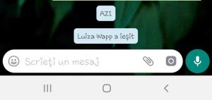Telefonul Luizei a fost folosit, noaptea trecută, pe WhatsApp