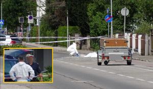 Un român a înjunghiat și ucis în stradă o bătrână de 83 de ani, în Austria