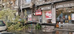 Imagini dramatice după furtuna din București. Copaci rupți și străzi inundate (Video)