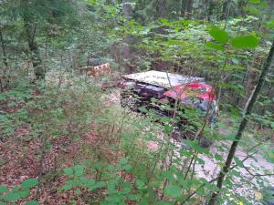 Camion cu un milion de km la bord, răsturnat în pădure, în Franţa