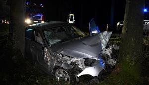 BMW-ul de lux al unui român, găsit înfipt între pomi, în Germania, nici urmă de şofer