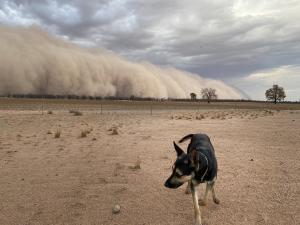 Australia, lovită de grindină şi de furtuni de nisip, după incendiile care au mistuit ţara (video)