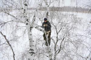 Un student din Siberia face şcoala online din copac. Zilnic, se urcă în pomul de 8 metri, cu telefonul, ca să prindă semnal