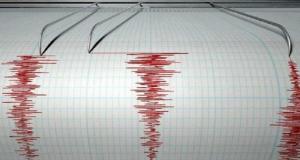 Cutremur de suprafață în România. Seismul s-a produs în Vaslui și a avut magnitudinea 3,6 pe Richter