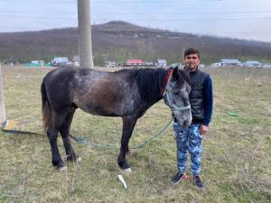 Sergiu, tânărul care s-a dus pe cal la maternitate, a împărțit nevoiașilor o parte din donațiile primite de la oameni