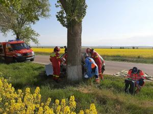 O șoferiță a murit pe loc într-o maşină zdrobită de copac, în Tulcea (Video)