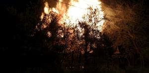 Incendiu puternic în Vâlcea. Au ars o casă, trei garaje, o mașină și un porc