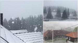 Zăpadă în Cluj, ninge ca-n povești la început de mai (Video)