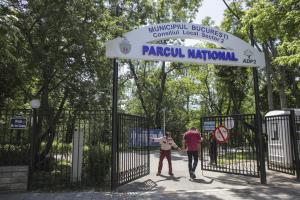 Scandal în București. Viceprimarul Sectorului 2 deschide parcurile, dar e criticat dur de Primăria Capitalei - foto