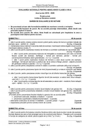 Evaluarea Naţională 2020. Subiecte şi barem pentru Limba şi literatura română - varianta 3