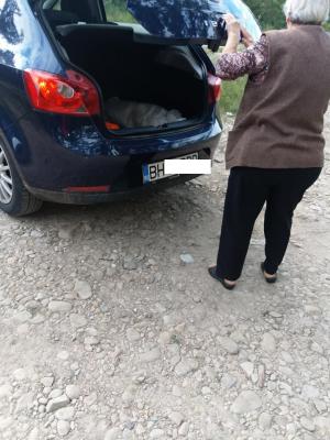O bătrână cu un sac plin de pisoi, în portbagaj, aruncă puii în pădure, în Bihor: "Am 11 acasă"