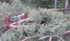 Jaguar cu volan pe dreapta înfipt într-un pom și abandonat, fără numere de înmatriculare, în Maramureș