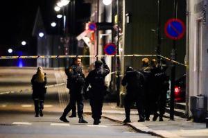 Atac în Norvegia: Un bărbat înarmat cu un arc cu săgeţi a atacat mulţimea. Mai multe persoane au murit
