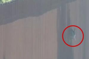 Imagini cu o fetiță de 7 ani purtată de o călăuză peste zidul de 9 metri de la granița dintre Mexic și SUA, înainte de a fi abandonată