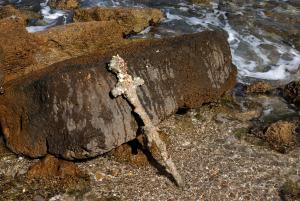 VIDEO. Un scafandru a descoperit sabia unui cruciat, veche de 900 de ani, în largul coastei Israelului