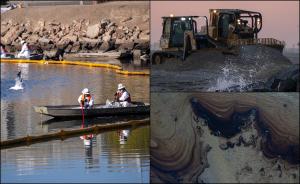 Dezastru ecologic în California: Plaje pline de păsări şi peşti morţi după o scurgere de aproximativ 3000 de barili de petrol în larg
