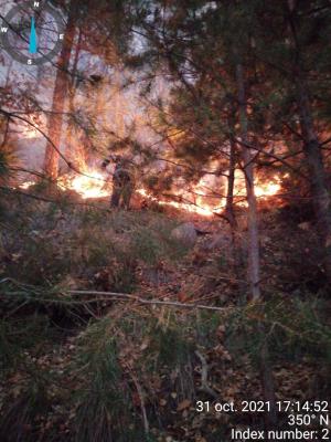 Incendiu de vegetaţie într-o pădure din Bacău. Intervenţia pompierilor, îngreunată de terenul abrut