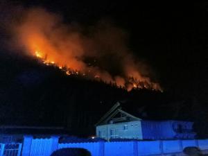 Incendiu de vegetaţie într-o pădure din Bacău. Intervenţia pompierilor, îngreunată de terenul abrut