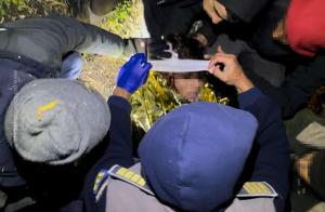 Atac sângeros la granița cu România. Patru migranți au fost înjunghiați, unul dintre ei în gât