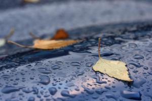 Vremea 24 noiembrie. Ploile vor fi prezente în aproape toată ţara, minime şi de - 7 grade