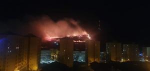 Incendiu de vegetație pe Muntele Pietricica din Piatra Neamț. A existat riscul ca focul să ajungă la zonele locuite