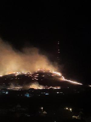 Incendiu de vegetație pe Muntele Pietricica din Piatra Neamț. A existat riscul ca focul să ajungă la zonele locuite