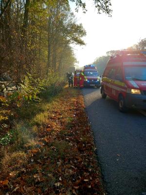 Cinci victime după ce două mașini s-au ciocnit pe A1, în Giurgiu. Una dintre ele s-a răsturnat în pădure