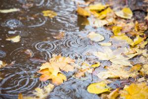 Vremea 9 noiembrie. Se răceşte accentuat, minimele ajung şi la - 4 grade în unele zone. Revin şi ploile