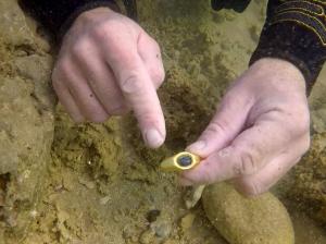 Un inel creştin din aur, vechi de pe vremea romanilor, a fost găsit de arheologii din Israel