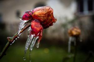 Freezing rain, fenomenul meteo care a transformat România într-un regat de gheaţă. Ploaia îngheţată va continua să ne dea de furcă