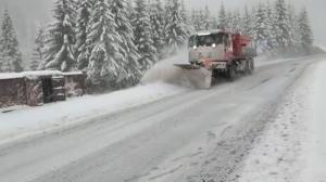 Iarna a pus stăpânire pe jumătate de țară. Ninge abundent în mai multe județe, drumarii au scos utilajele pe șosele