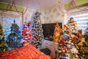 O familie din Germania a bătut recordul mondial pentru cei mai mulţi brazi de Crăciun împodobiţi. 420 într-o singură casă