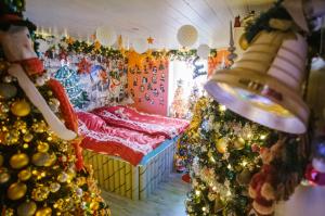O familie din Germania a bătut recordul mondial pentru cei mai mulţi brazi de Crăciun împodobiţi. 420 într-o singură casă
