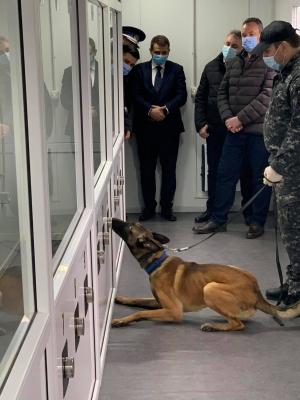 La Sibiu, câinii polițiști sunt antrenați pentru detectarea persoanelor infectate cu virusul SARS-CoV-2