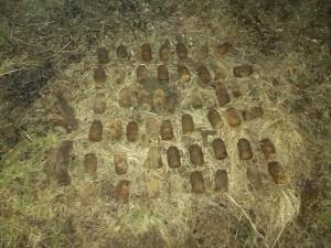 49 de grenade ofensive, găsite pe malul unui râu din Harghita. Reprezentau un real pericol