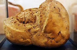 Cea mai veche pâine din lume, preparată în 1892, expusă la Muzeul de Istorie din Galaţi